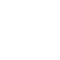 icon_policy